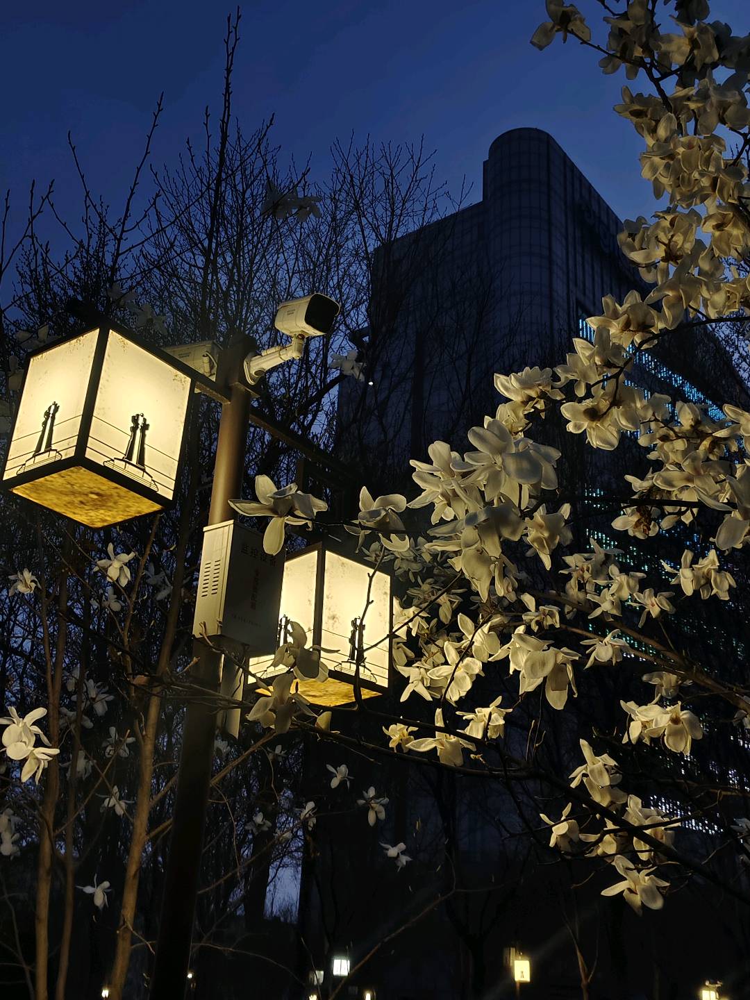 孔维转地推项目北京第三代社保卡申领