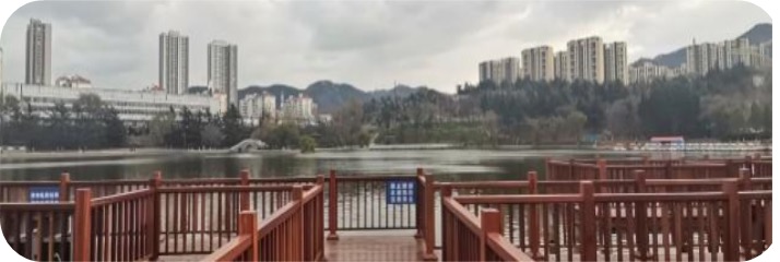 张先生场地活动烟台新春灯会寻找品牌方，地推合作
