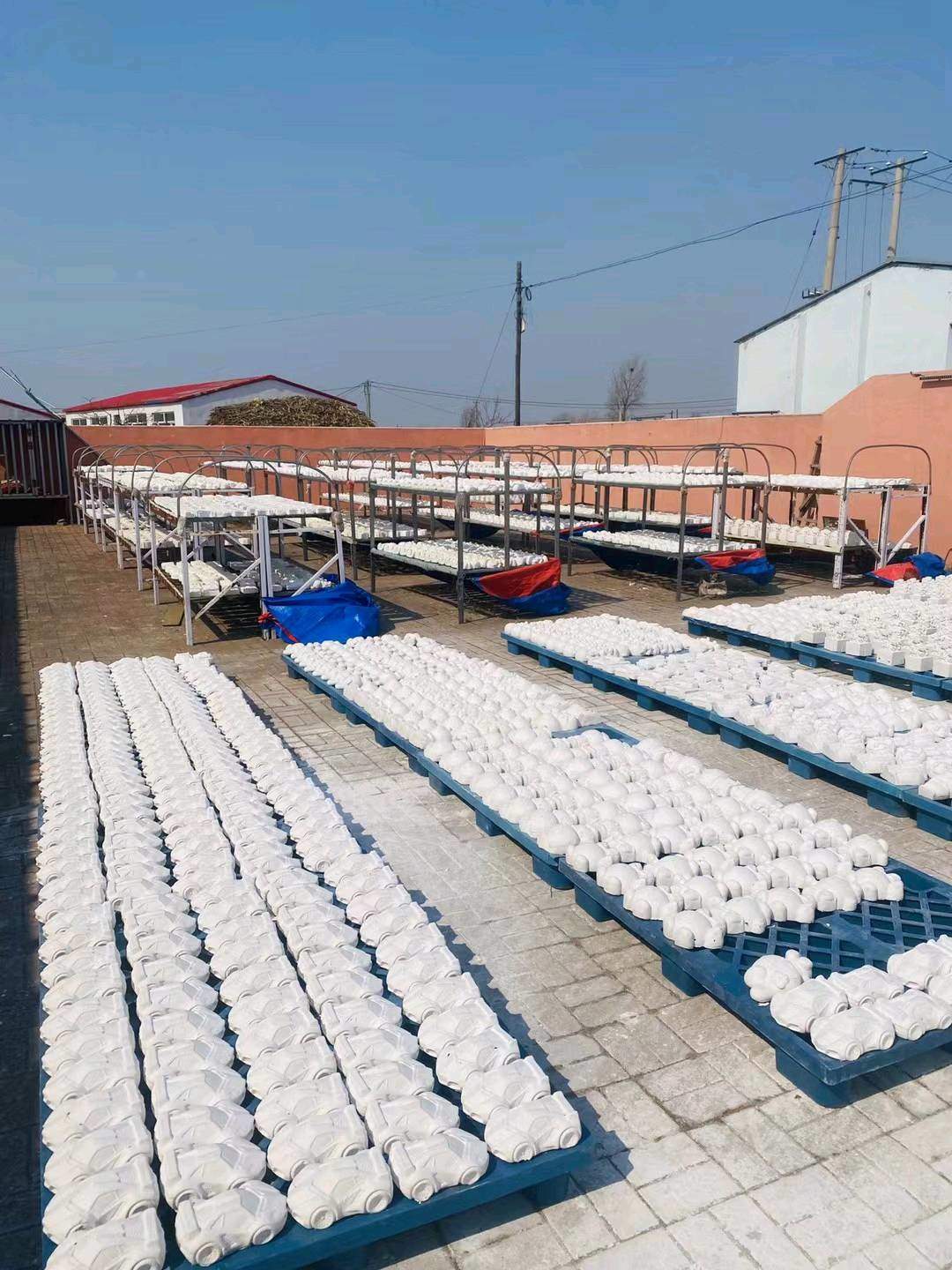 戚先生地推项目