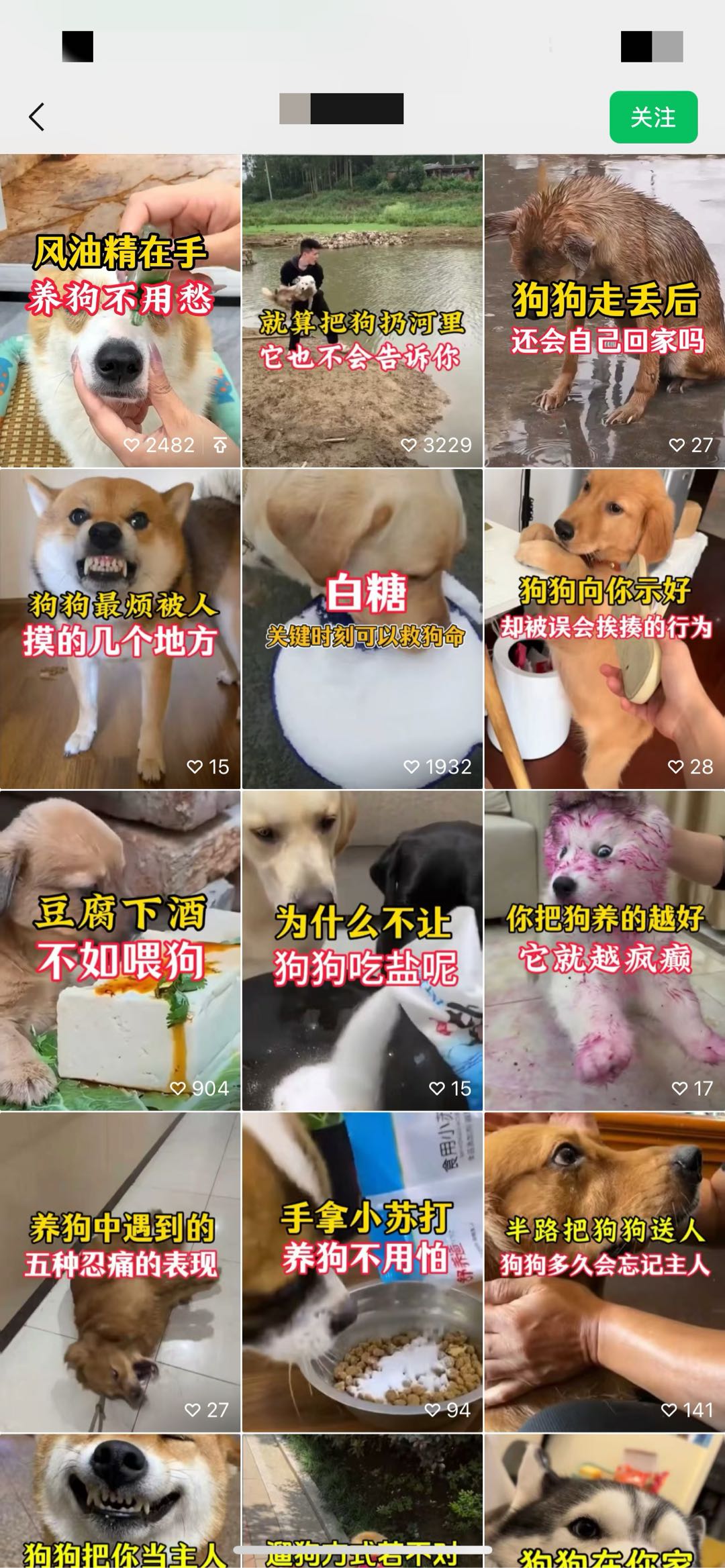 邓佳宇其他供需携手掘金千亿宠物赛道 打造下一代宠物生活方式