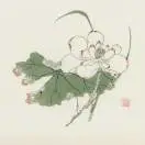 段亚宁