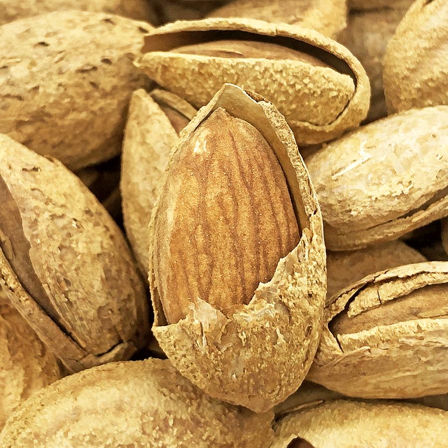 杨先生新疆特产干果