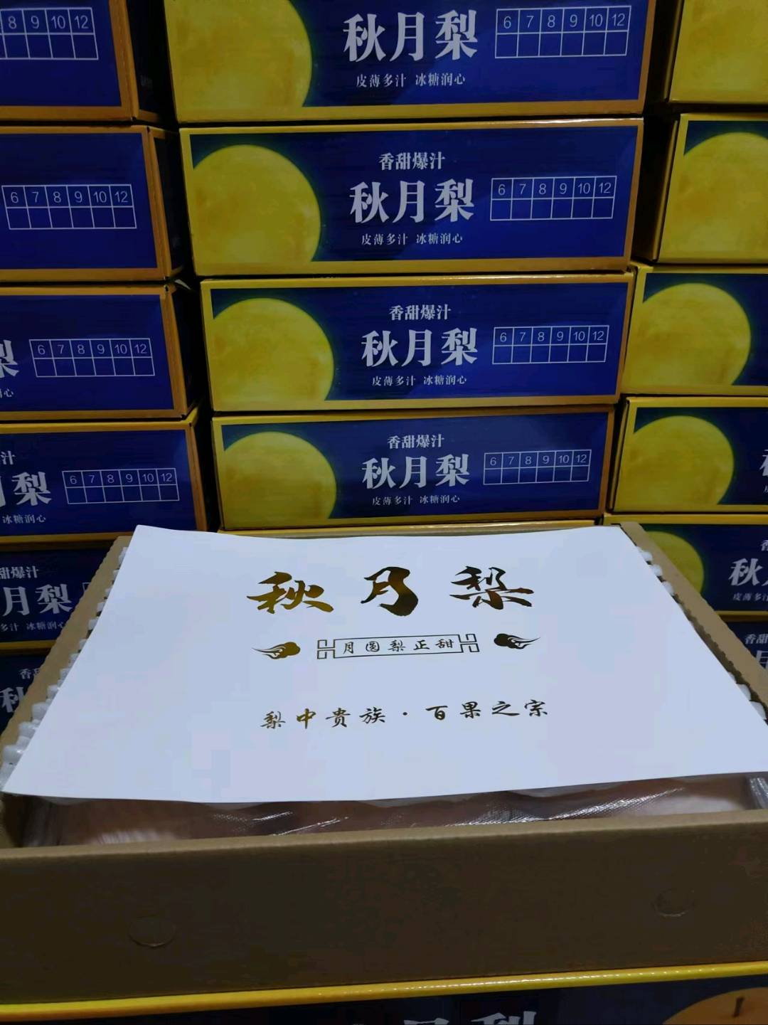 郑女士品牌货源