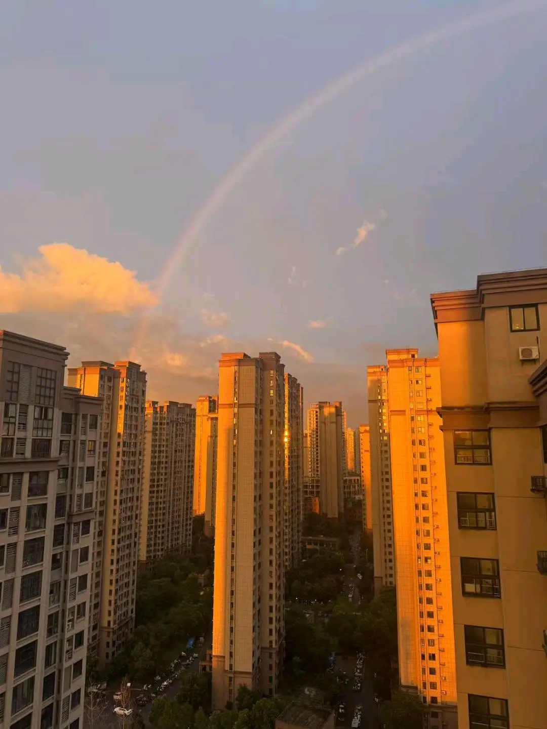 刘女士