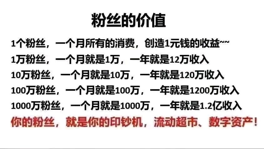 杨先生地推项目