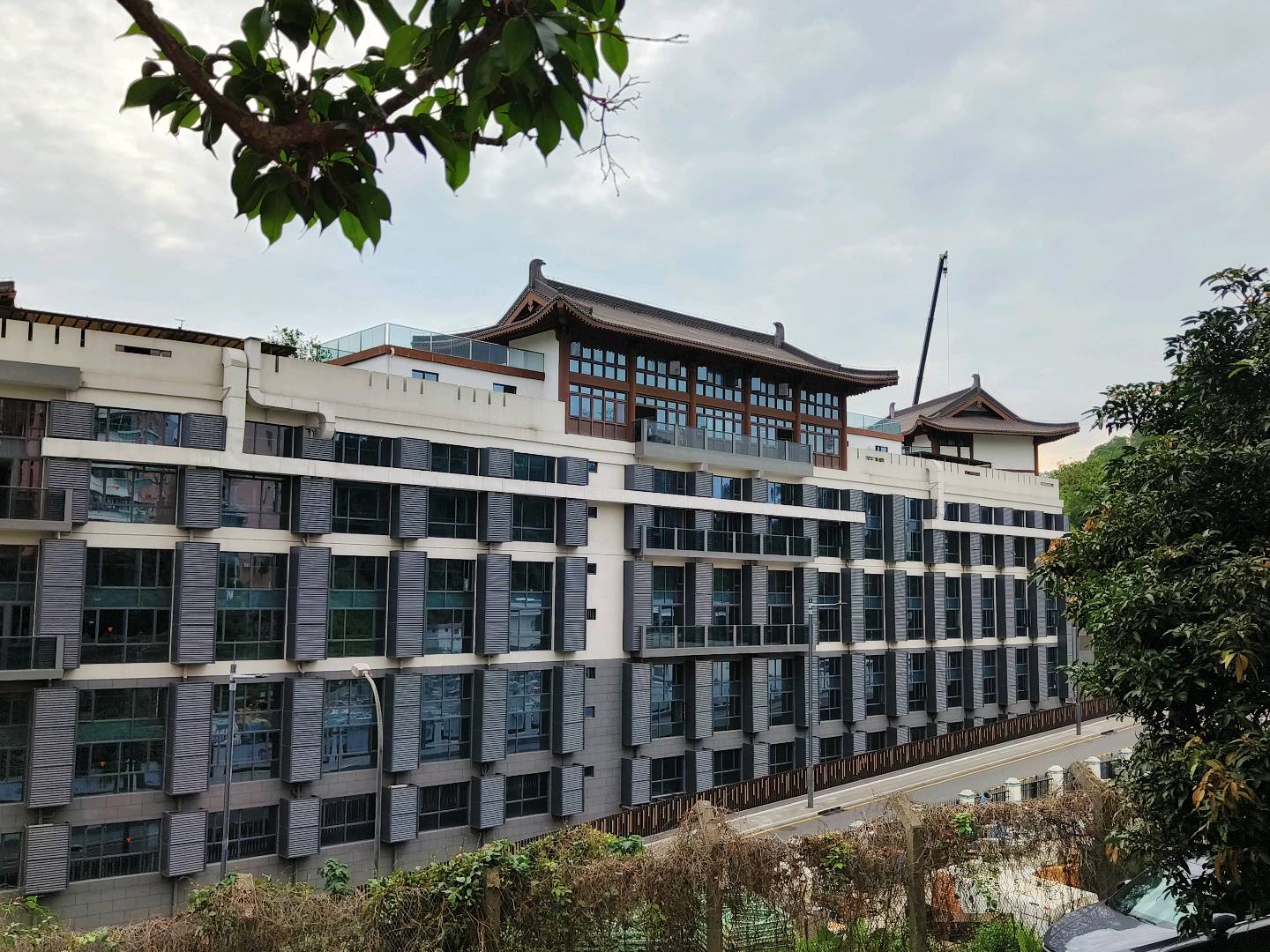 石可心场地活动