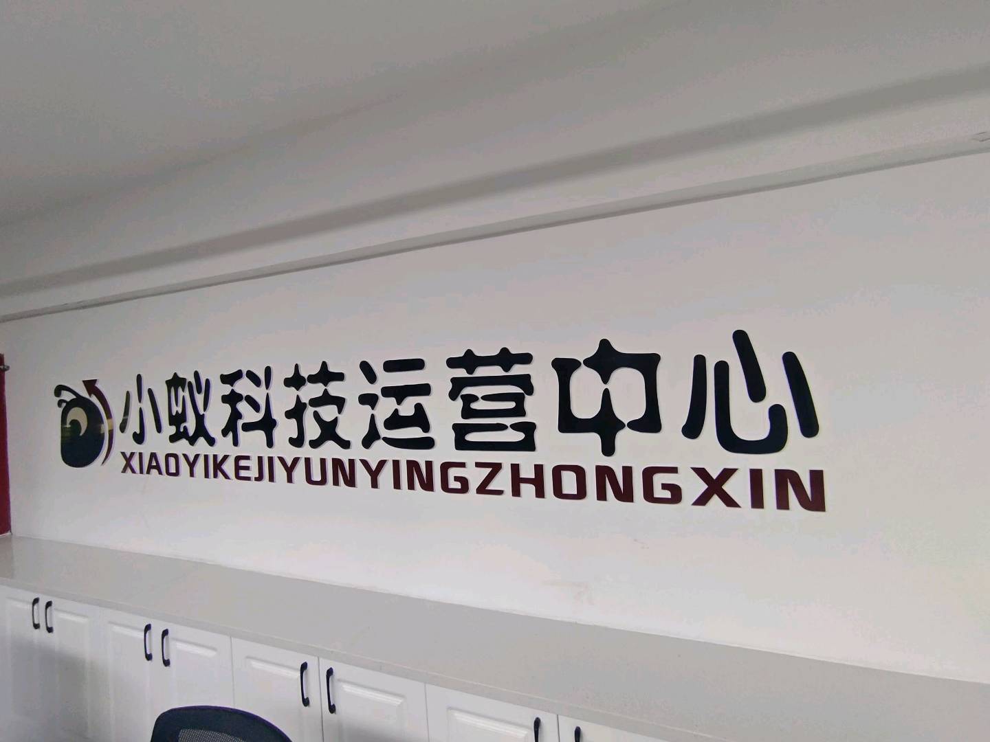 李成鑫海外问卷调查 远程教学 终身售后 利润可观 灵活合作