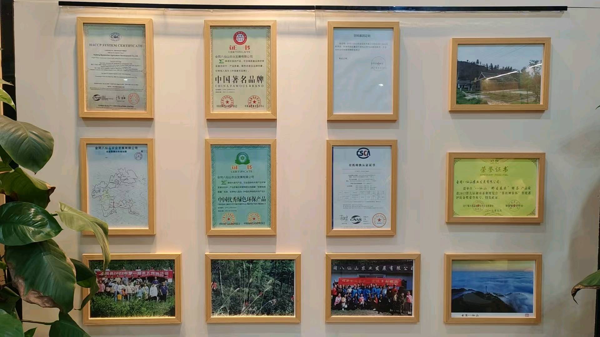 弄桂全品牌货源求
工







茶叶野生茶分销，有兴趣的来！