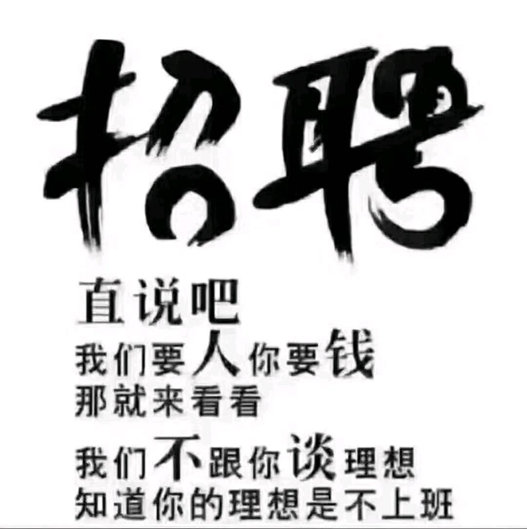 罗先生地推项目哈罗顺风车出行搬砖项目