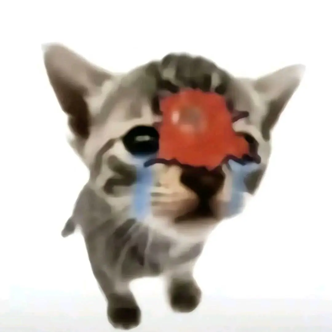 陈先生