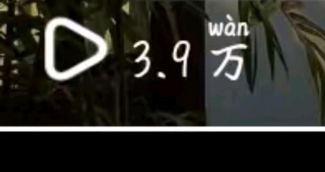 张女士零基础零学业。来做推文小说。新手小白，大学生，宝妈打工族都可做在家解决