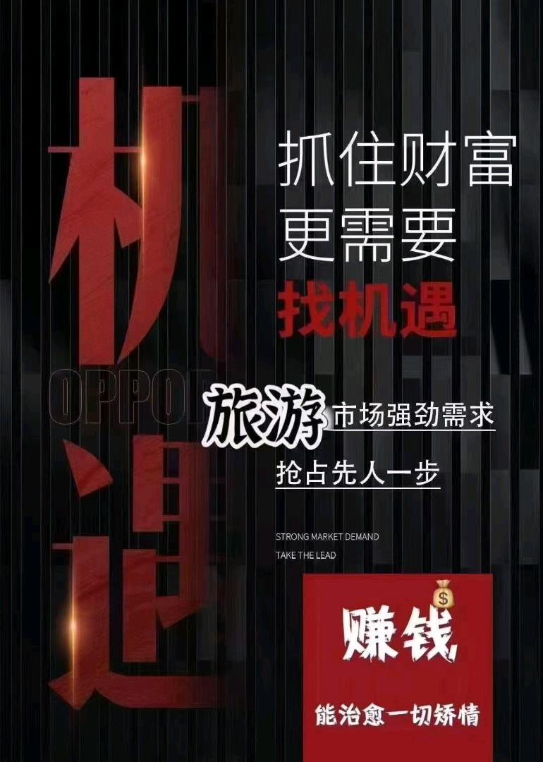李先生找合伙人旅游卡项目合伙人，纯零投项目，没有任何门槛费用