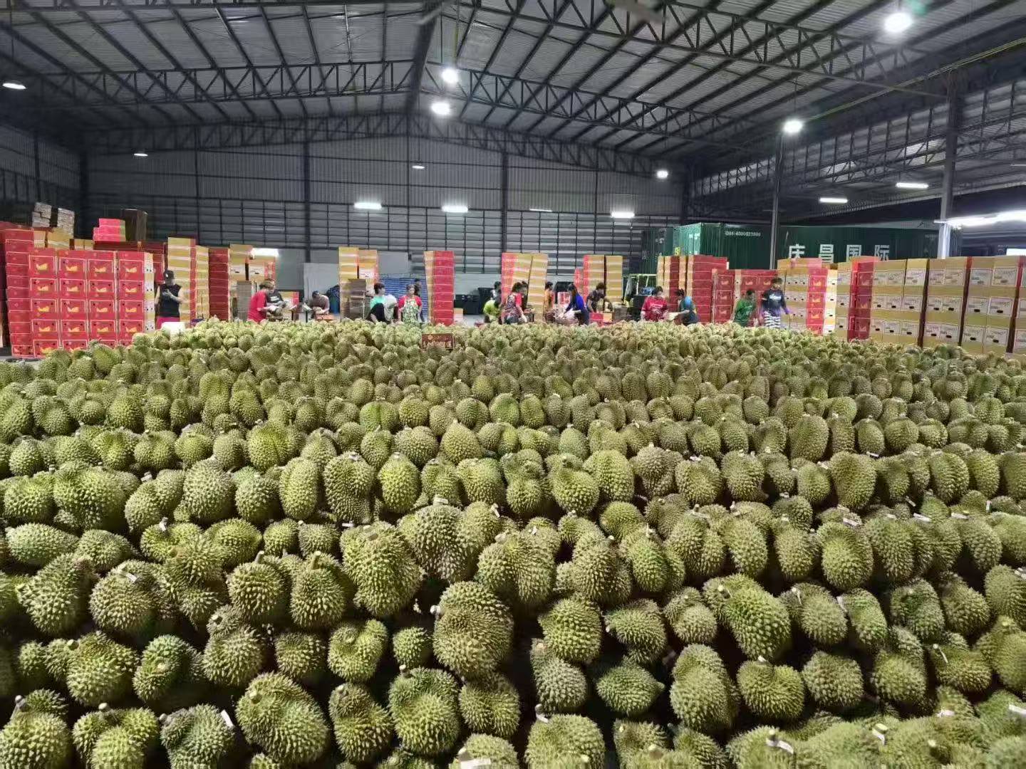 严先生**水果供应链全国招募合伙人,不投一分钱