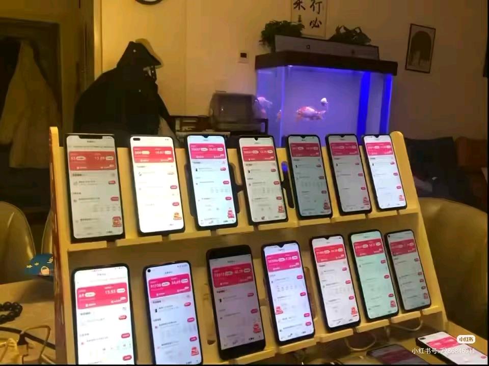 王迎晓找合伙人手机广告观看项目，单设备收益30到80元，先学后付费