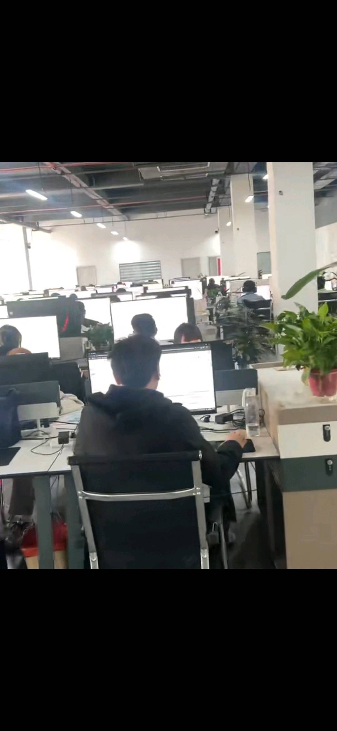 张道峰其他供需