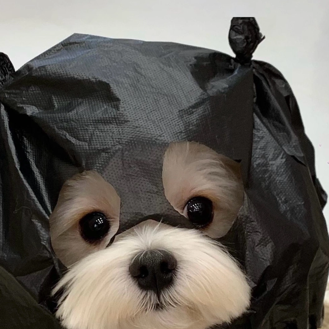 王晶怡