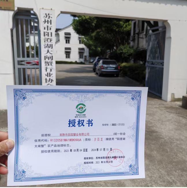 杨先生品牌货源正宗阳澄湖大闸蟹
