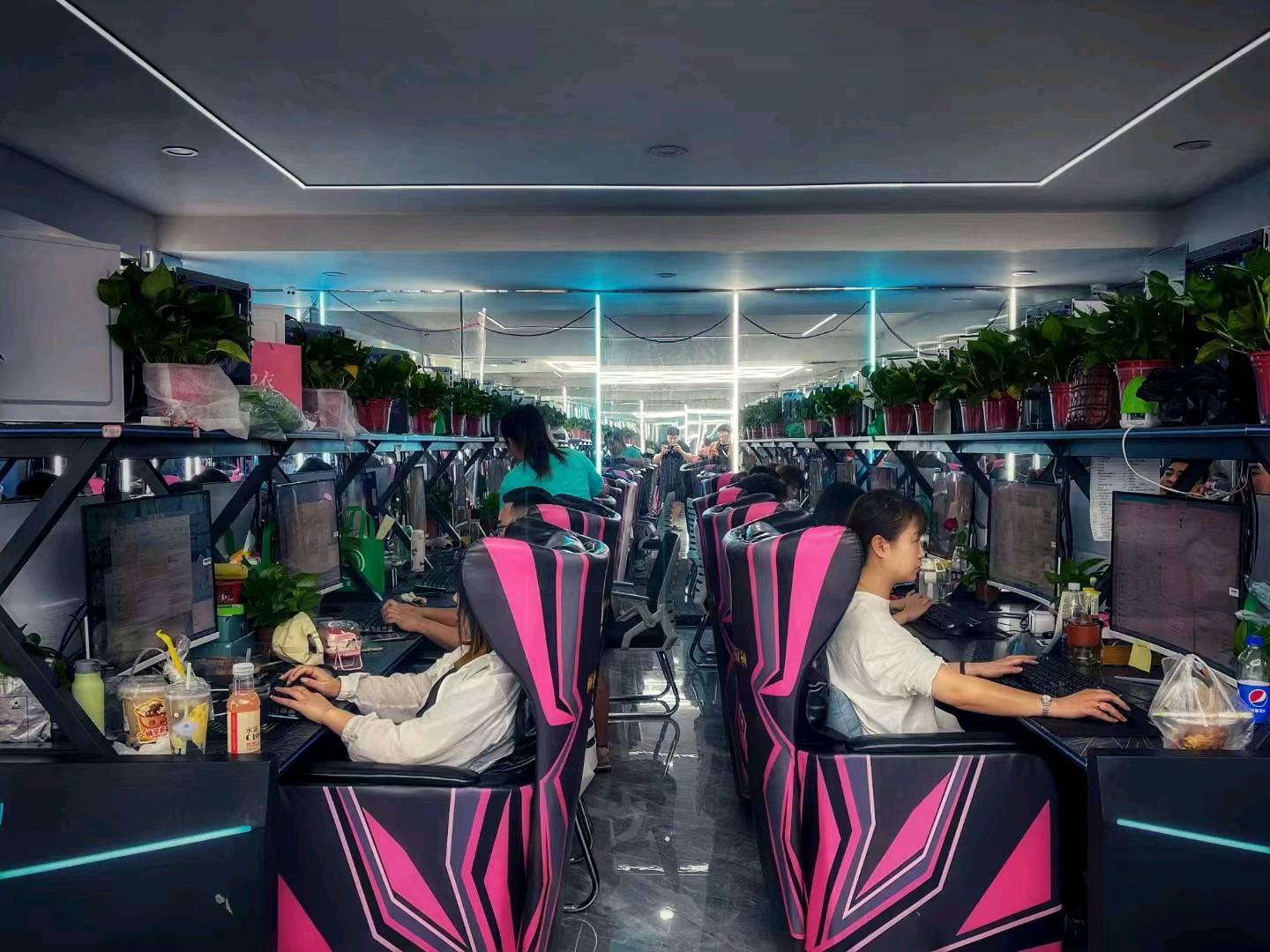 顾小静其他供需快递客服和电商客服业务外包