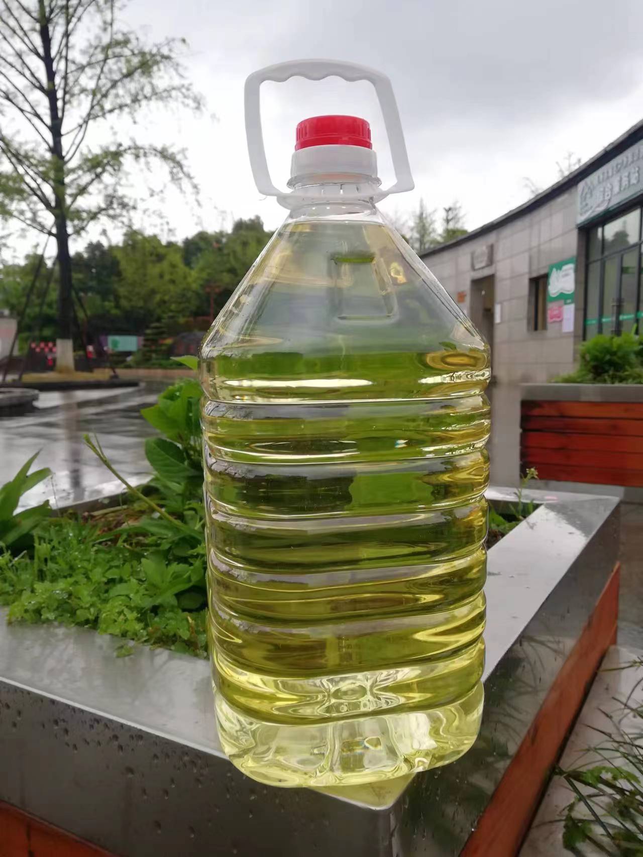 马先生品牌货源茅台镇酱香型白酒