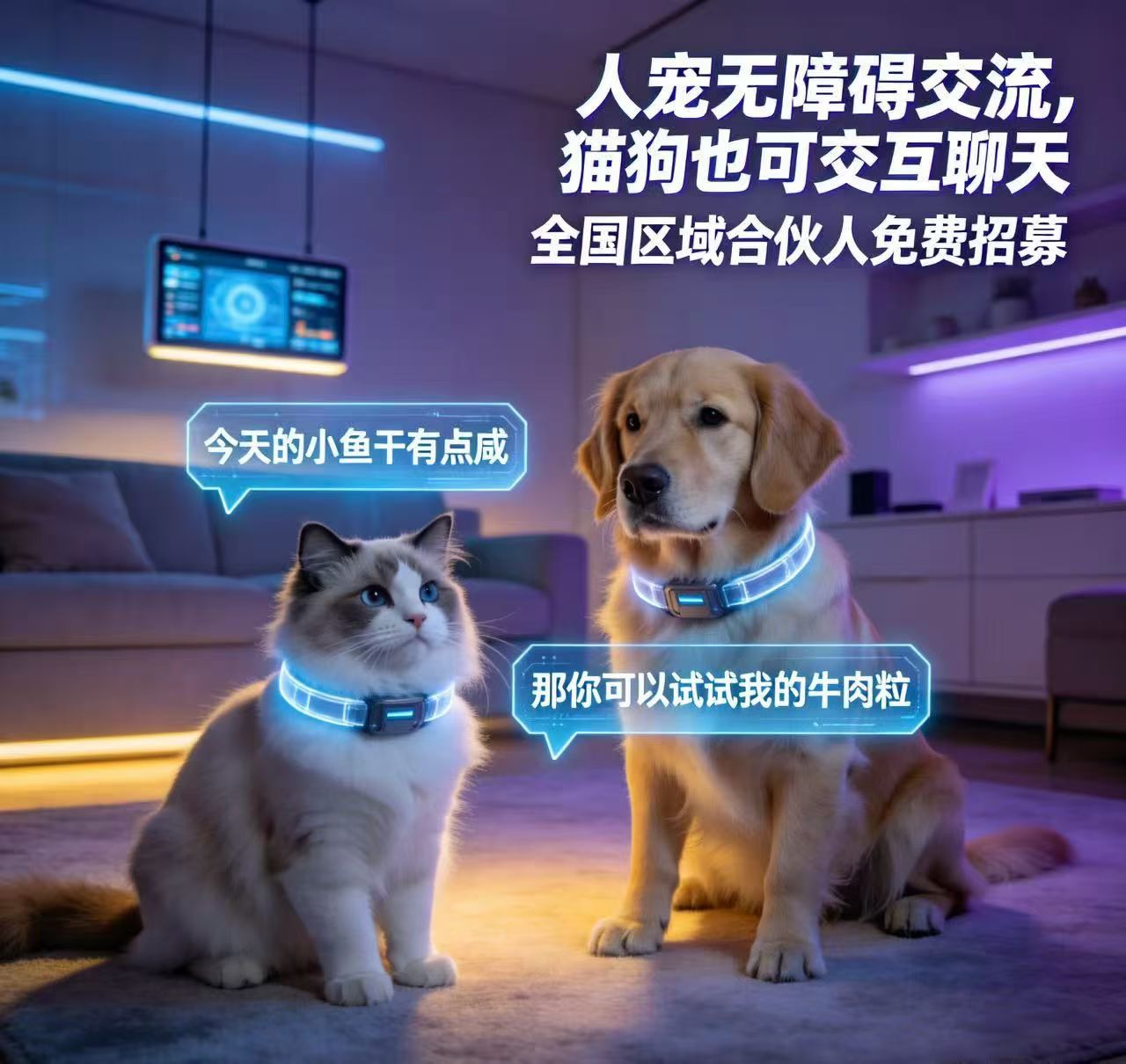 王佑文地推项目