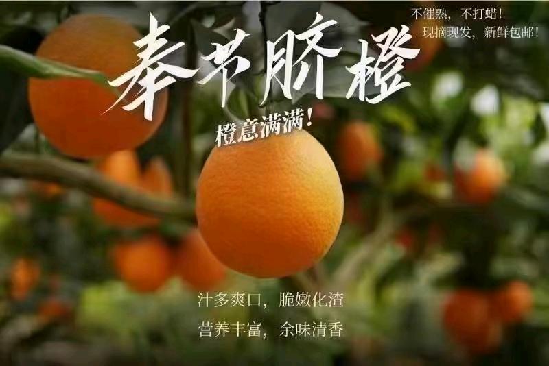 杨先生品牌货源