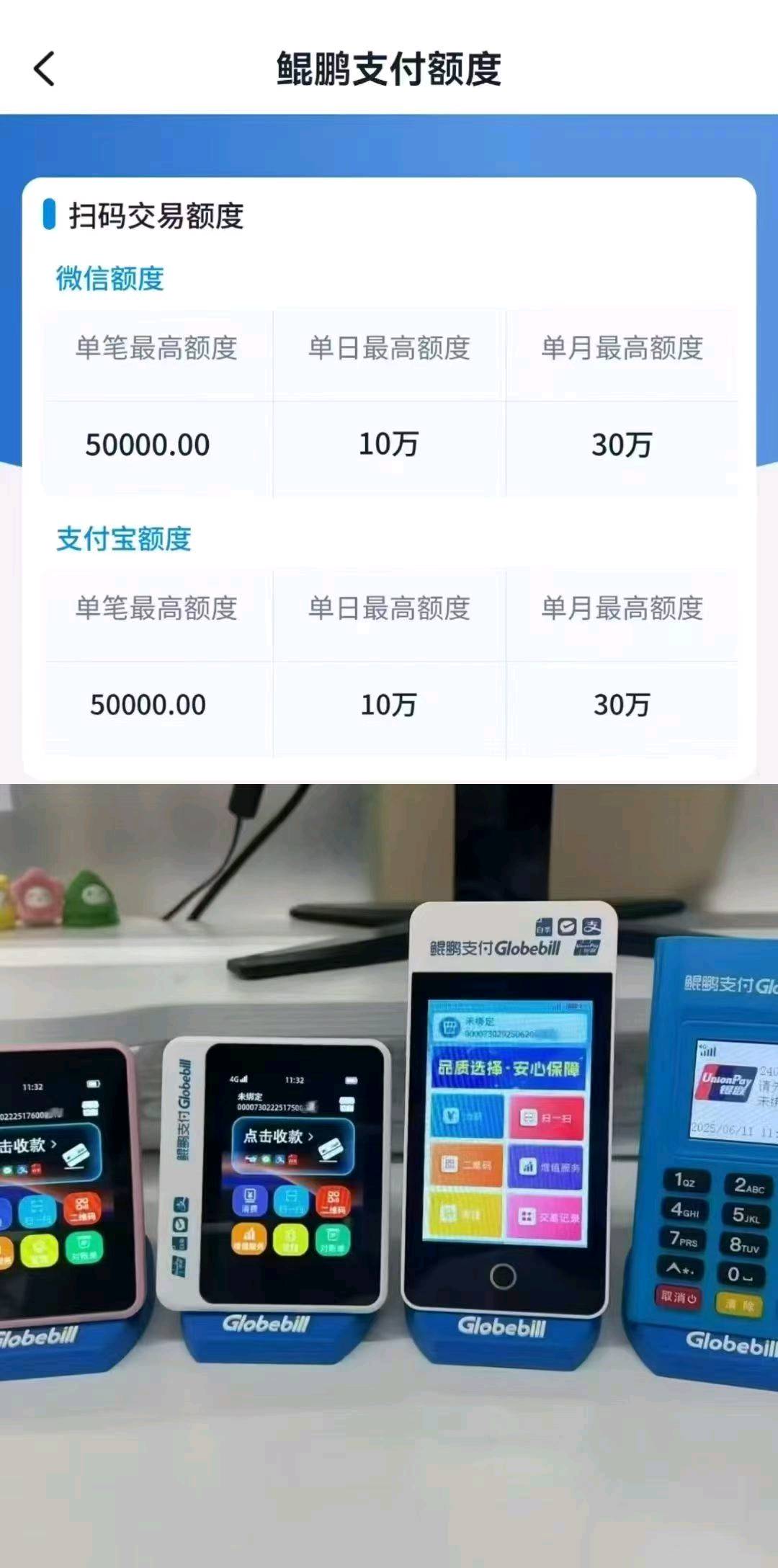 周涛找合伙人鲲鹏支付官品，鲲pay
