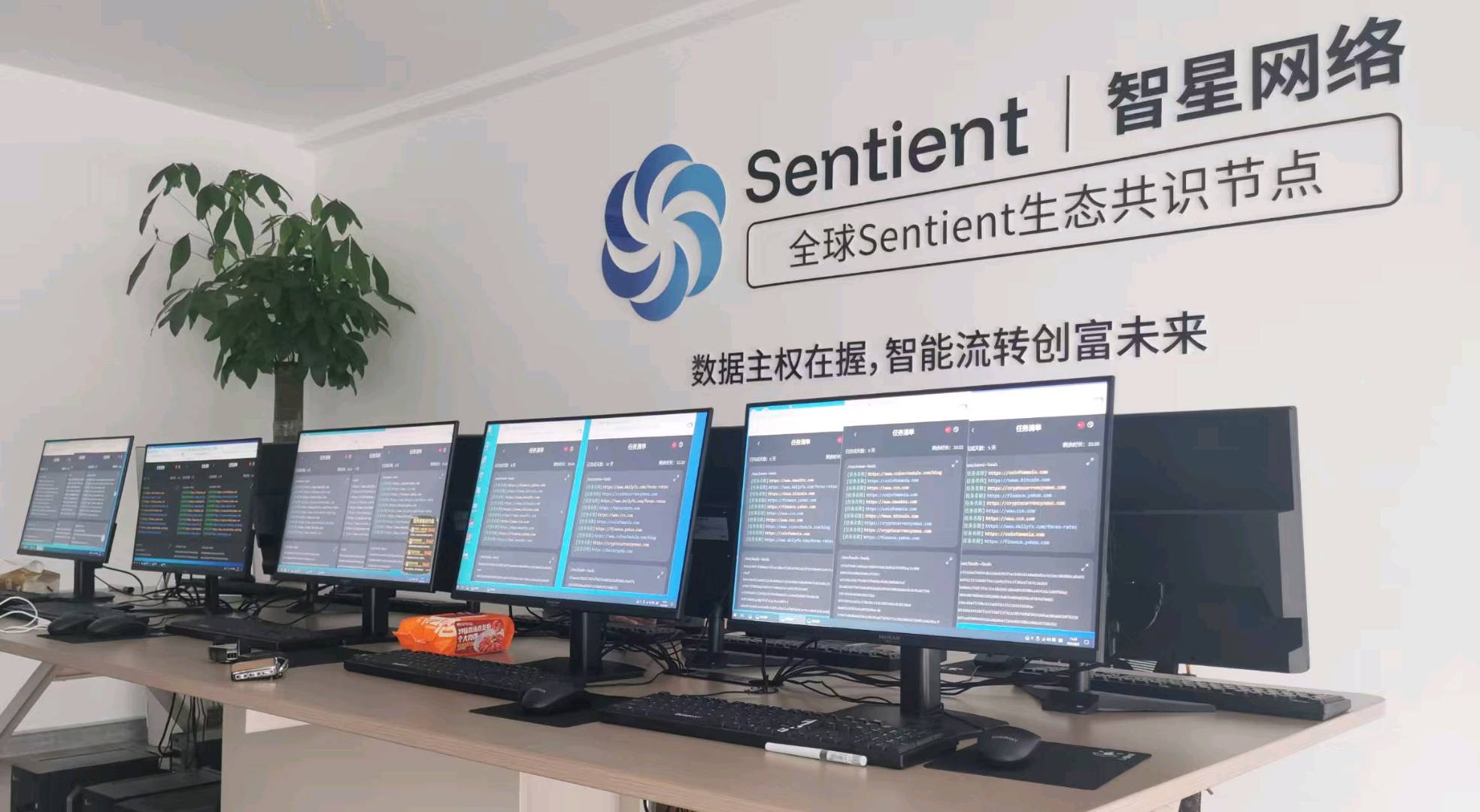 王先生其他供需森恩特PCDN国际流量运营中