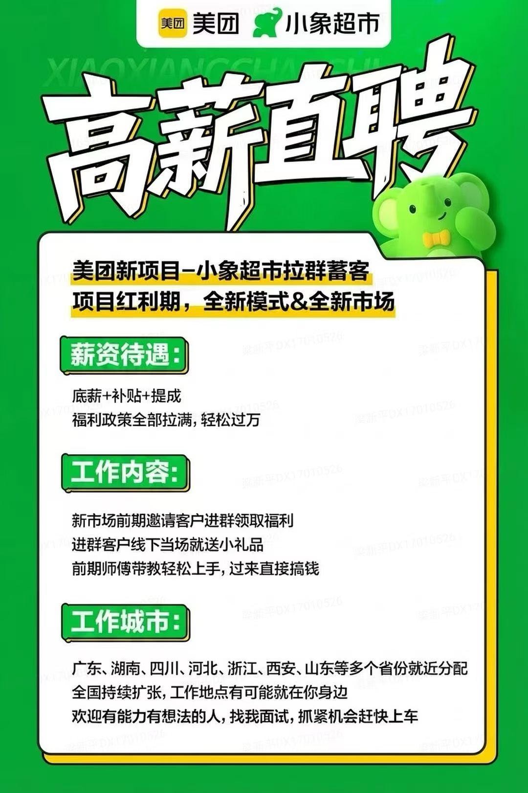 张女士地推项目