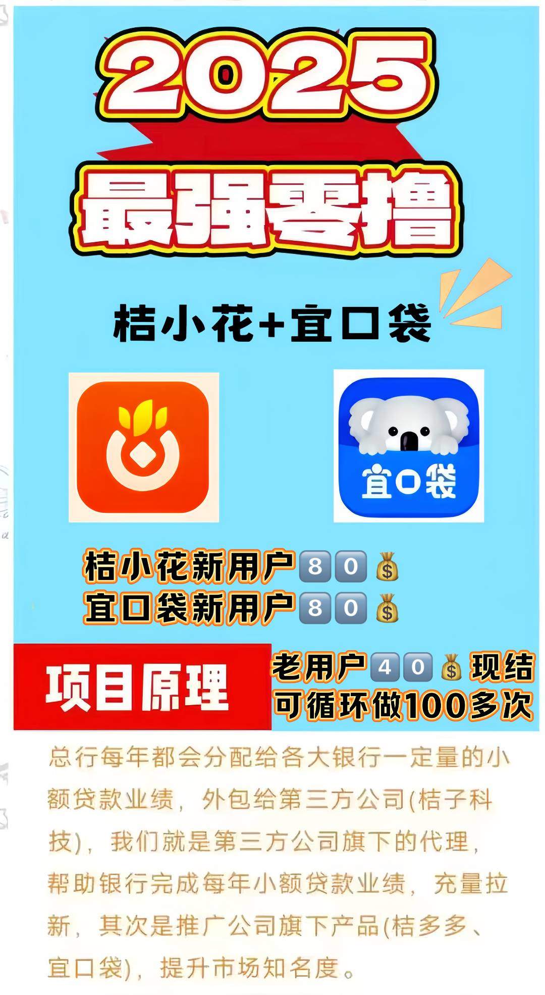 丁女士地推项目