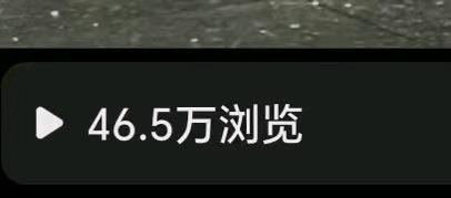 郭女士其他供需全新AI小说漫剧推广,一部手机即可