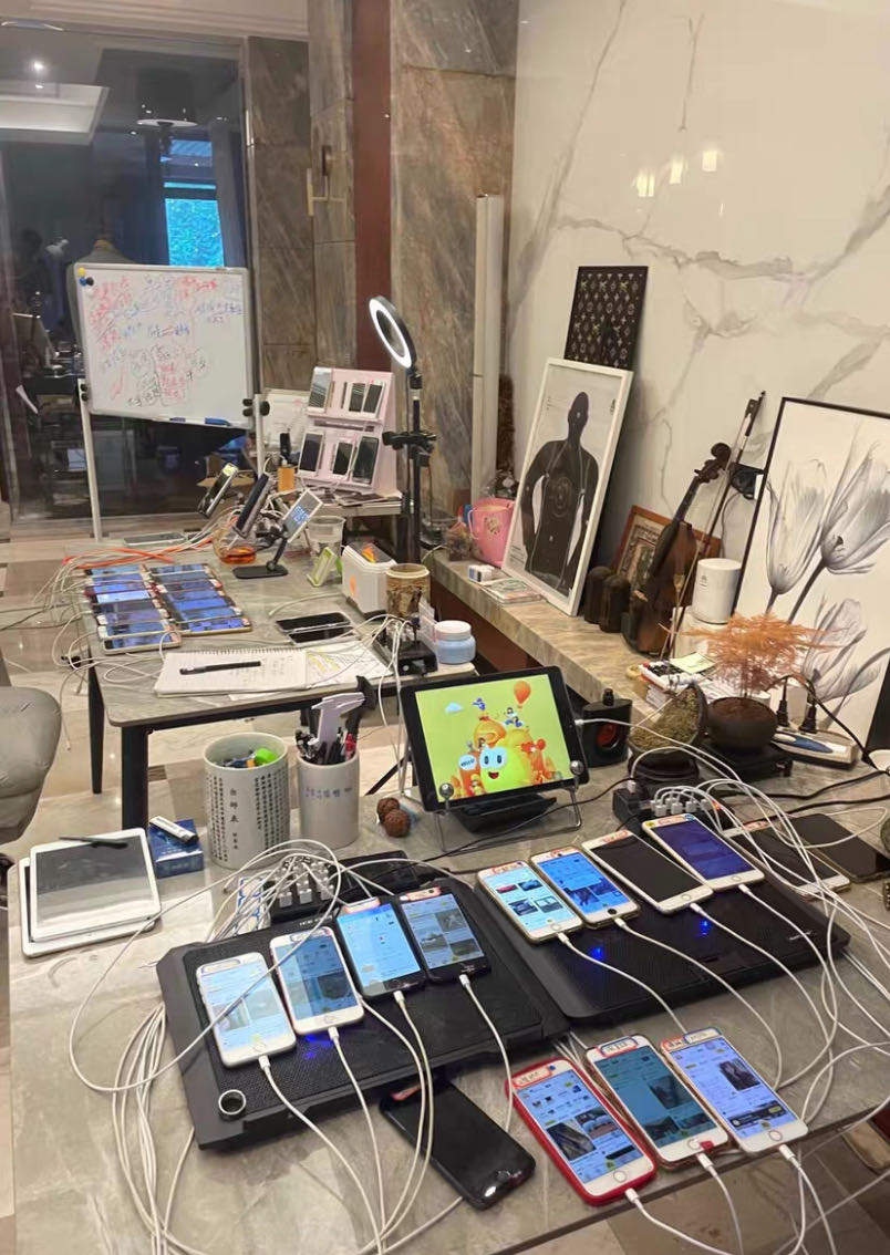 蓝先生品牌货源