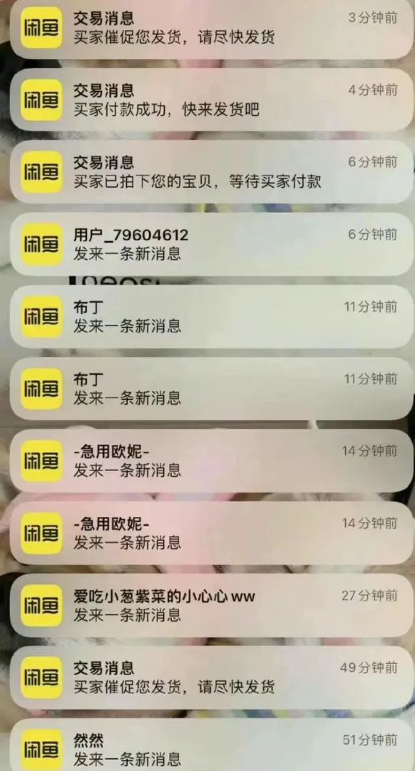 黄先生闲鱼提供货源,一对一培训,稳定项目