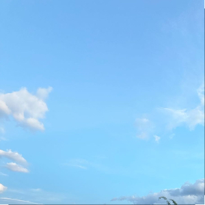 黄先生