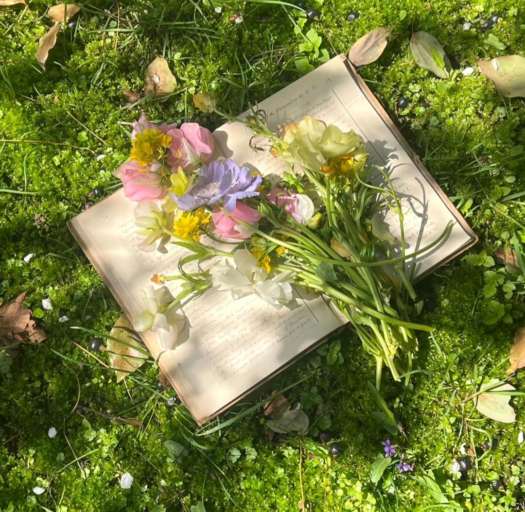 李女士其他供需