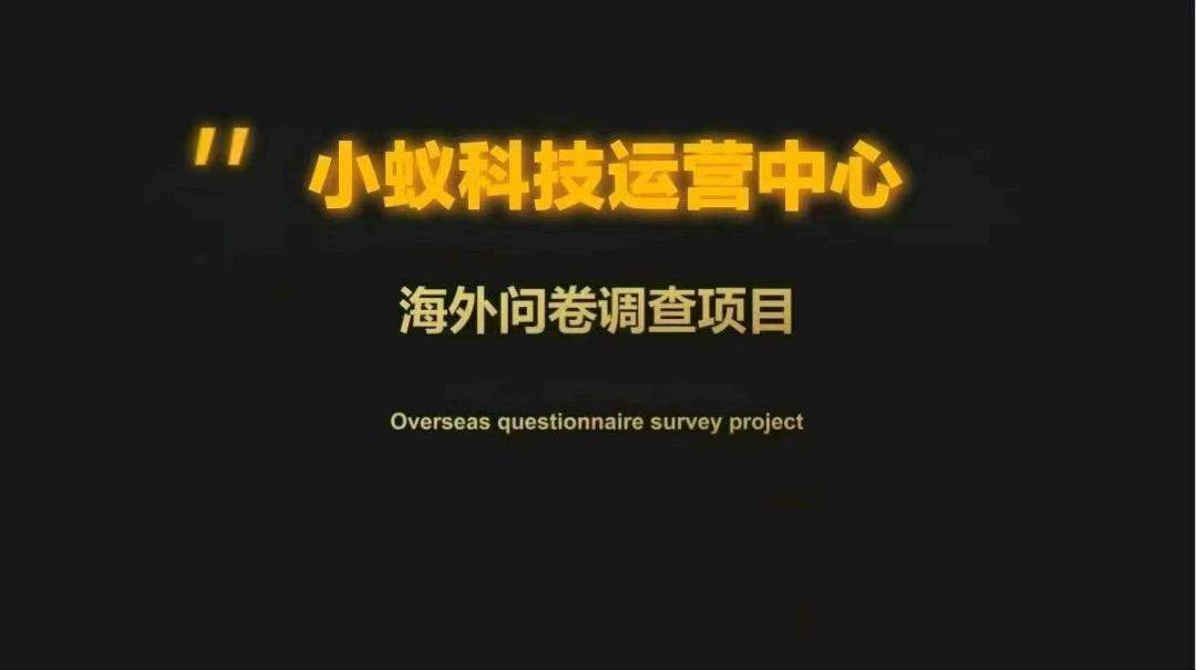 张先生其他供需小蚁科技海外问卷调查项目 - 灵活就业新选择,收益可观