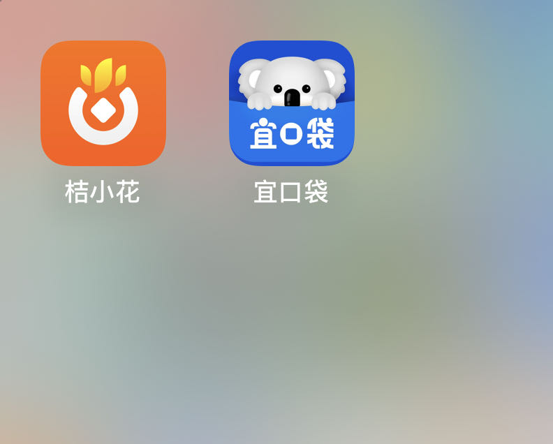 王女士地推项目宜口袋，桔小花拉新