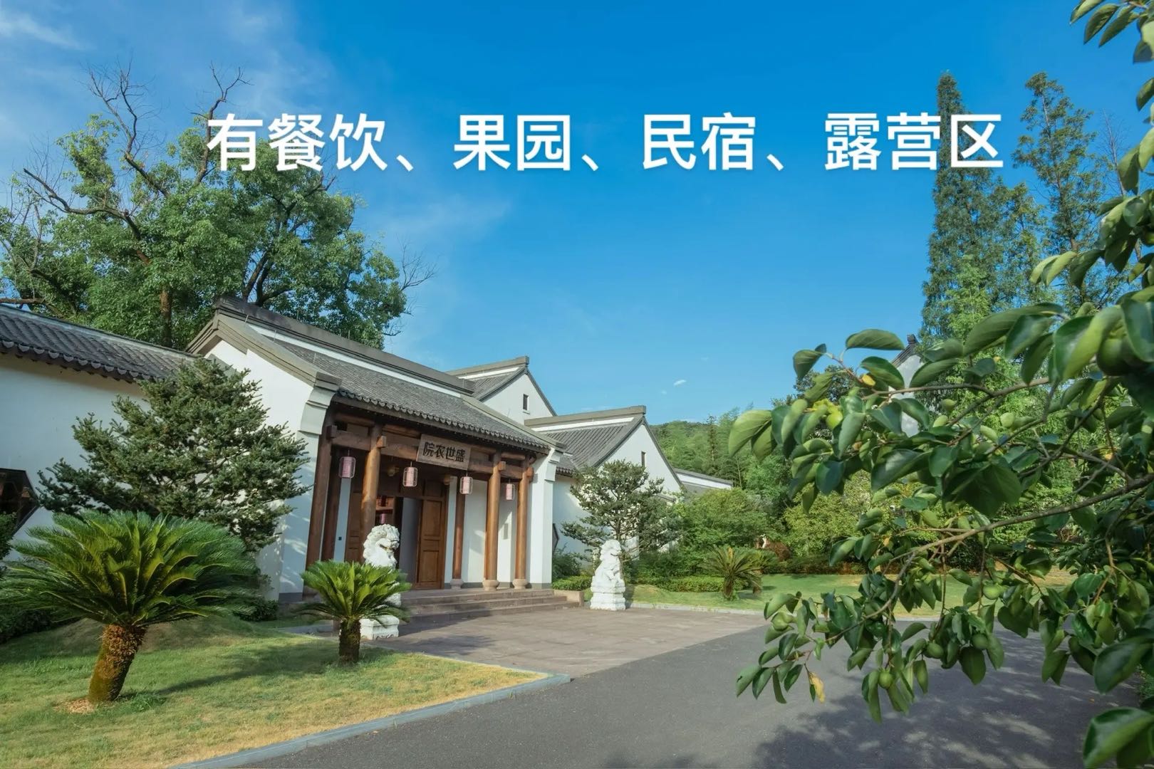 王子怡场地活动