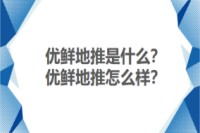 优鲜地推